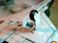 P1060772 P1060772