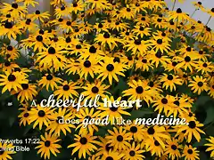 merry_heart_like_medicine