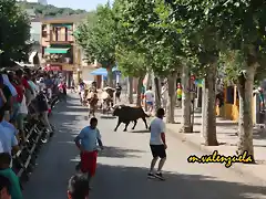 36, por la avenida 3, marca