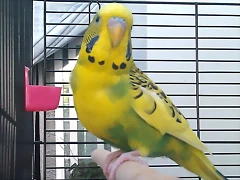 IMAG0048