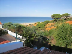 IMG_0004 IMG_0004