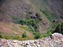 DSCN5783