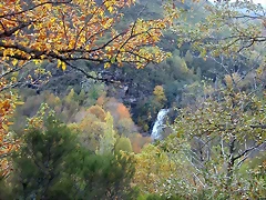 DSCN6130 DSCN6130