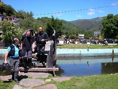 DSCN0875