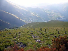 DSCN1004 DSCN1004