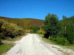 DSCN0968 DSCN0968