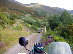 DSCN0994 DSCN0994