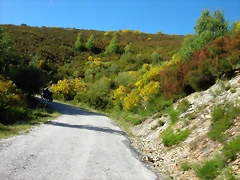 DSCN0971 DSCN0971