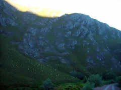 DSCN1012 DSCN1012