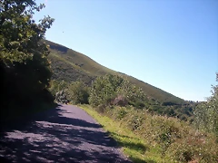 DSCN0920 DSCN0920