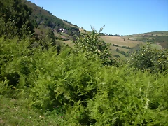 DSCN0952 DSCN0952