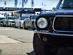 DSC_0891 DSC_0891