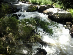 DSCN2777 DSCN2777