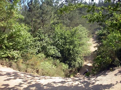 DSCN5299 DSCN5299