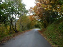 DSCN5916 DSCN5916