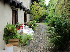 IMG_7763 IMG_7763