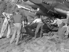 Junkers-Ju-87D5-Stuka-1.SG3-(S7+MH)-being-rearmed-at-Immola-28th-Jun-1944-01