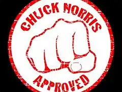 chuck norris approved