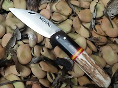 Jarota 9 Jarota 9
