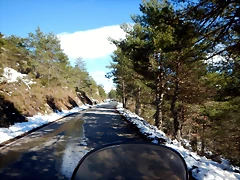 DSCN1781 DSCN1781
