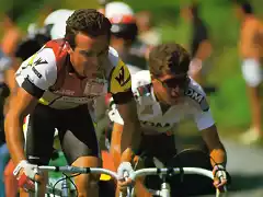 Perico-Tour1986-Pau-Hinault7