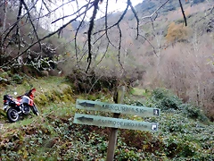 DSCN2088 DSCN2088