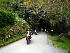DSCN0155 DSCN0155
