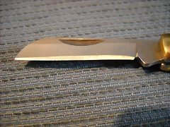 DSCN0008 DSCN0008