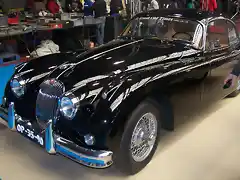 jaguar (4)