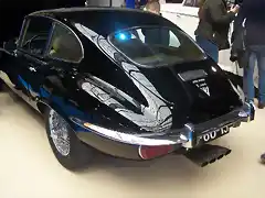 jaguar (1)