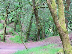28-IMG_1705