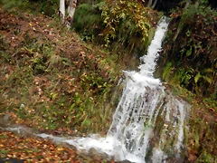 DSCN2910 DSCN2910