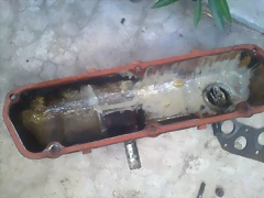 Foto0120 Foto0120