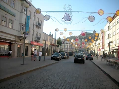 DSCN7690 DSCN7690