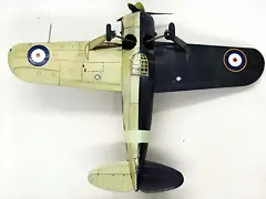 SDC39973