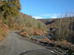 DSCN6732 DSCN6732