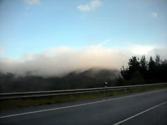DSCN8496 DSCN8496
