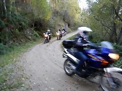 DSCN8772 DSCN8772