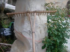 DSCN3973 DSCN3973