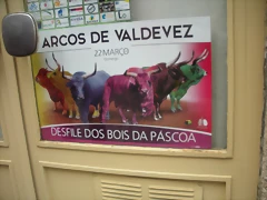 DSCN3771