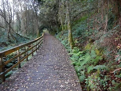 DSCN3758 DSCN3758
