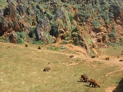 R0013779 R0013779