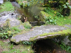 DSCN5743 DSCN5743