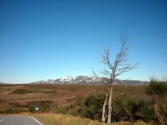DSCN2922