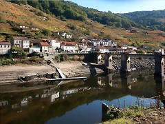DSCN1565 DSCN1565