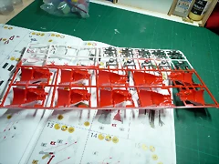 P1080033 P1080033
