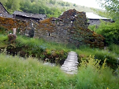 DSCN1279 DSCN1279