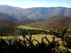 DSCN9530 DSCN9530
