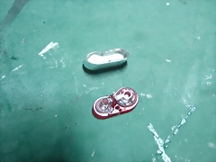 P1100991 P1100991