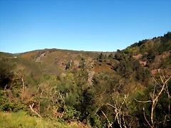 DSCN8958 DSCN8958